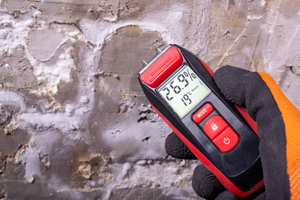 Best Home Mold Removal  in Port Arthur, TX