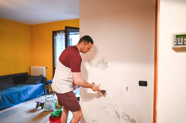 Best Mold Remediation  in Port Arthur, TX